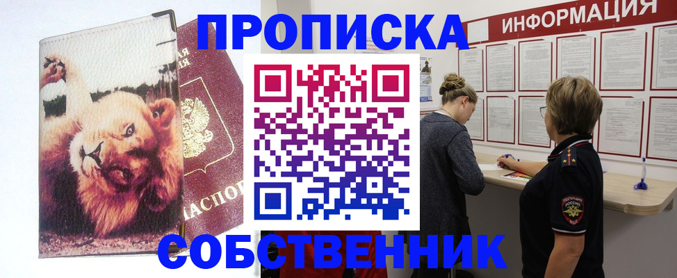 временная регистрация 2025 в Камчатской области